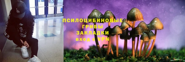 молекула духа Вязьма