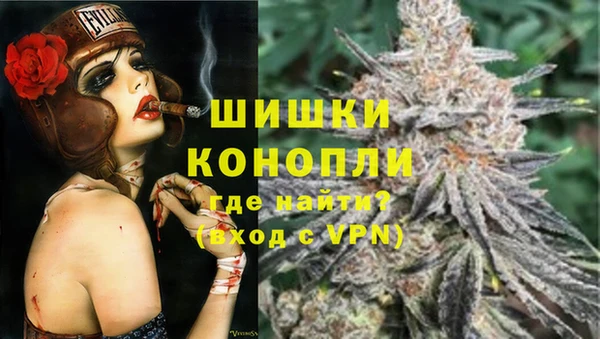 молекула духа Вязьма