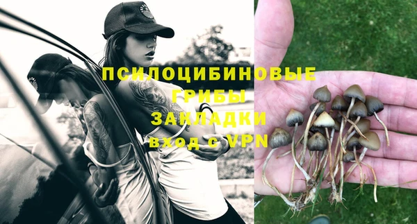 молекула духа Вязьма