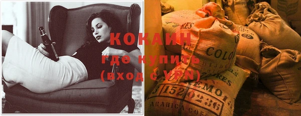 молекула духа Вязьма
